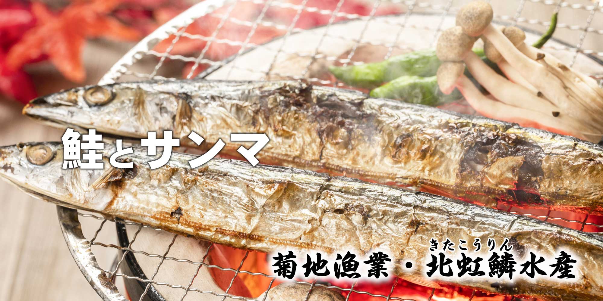 根室の鮭とサンマ